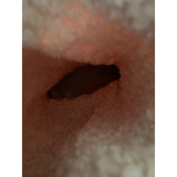 Crocs Nadia Winter Boots, Sherpa Fleeces Lined Pink, size 12 - Picture 5 of 8